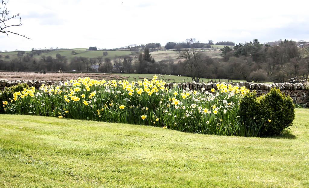 Yellow House West Woodburn Экстерьер фото